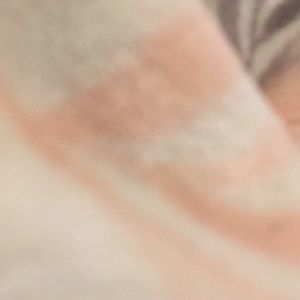 Meet your Posher, Yadi